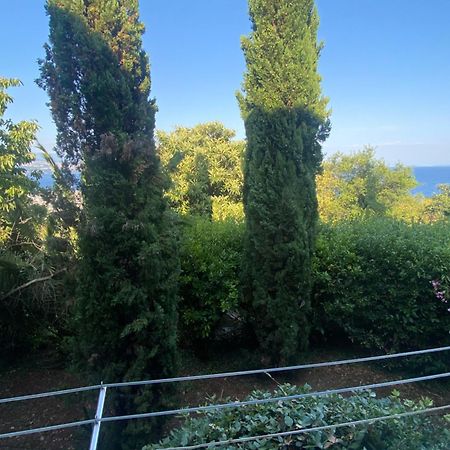 Villa Salyna Ičići المظهر الخارجي الصورة