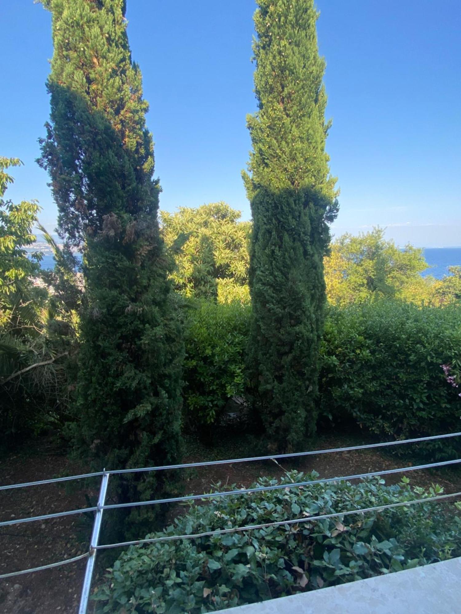 Villa Salyna Ičići المظهر الخارجي الصورة
