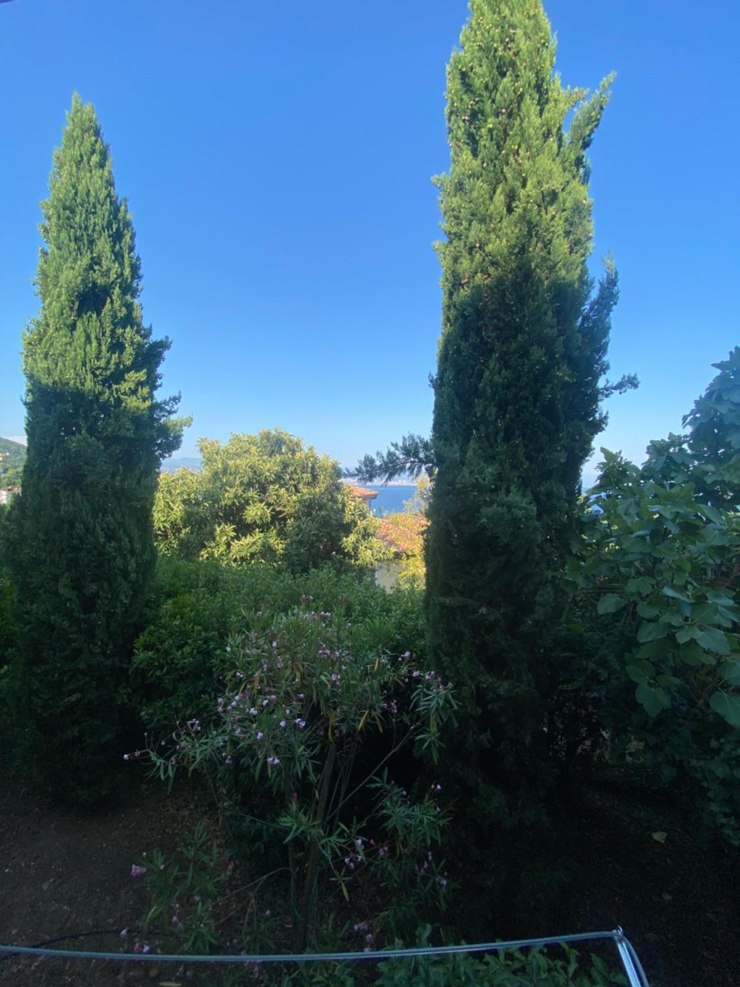 Villa Salyna Ičići المظهر الخارجي الصورة