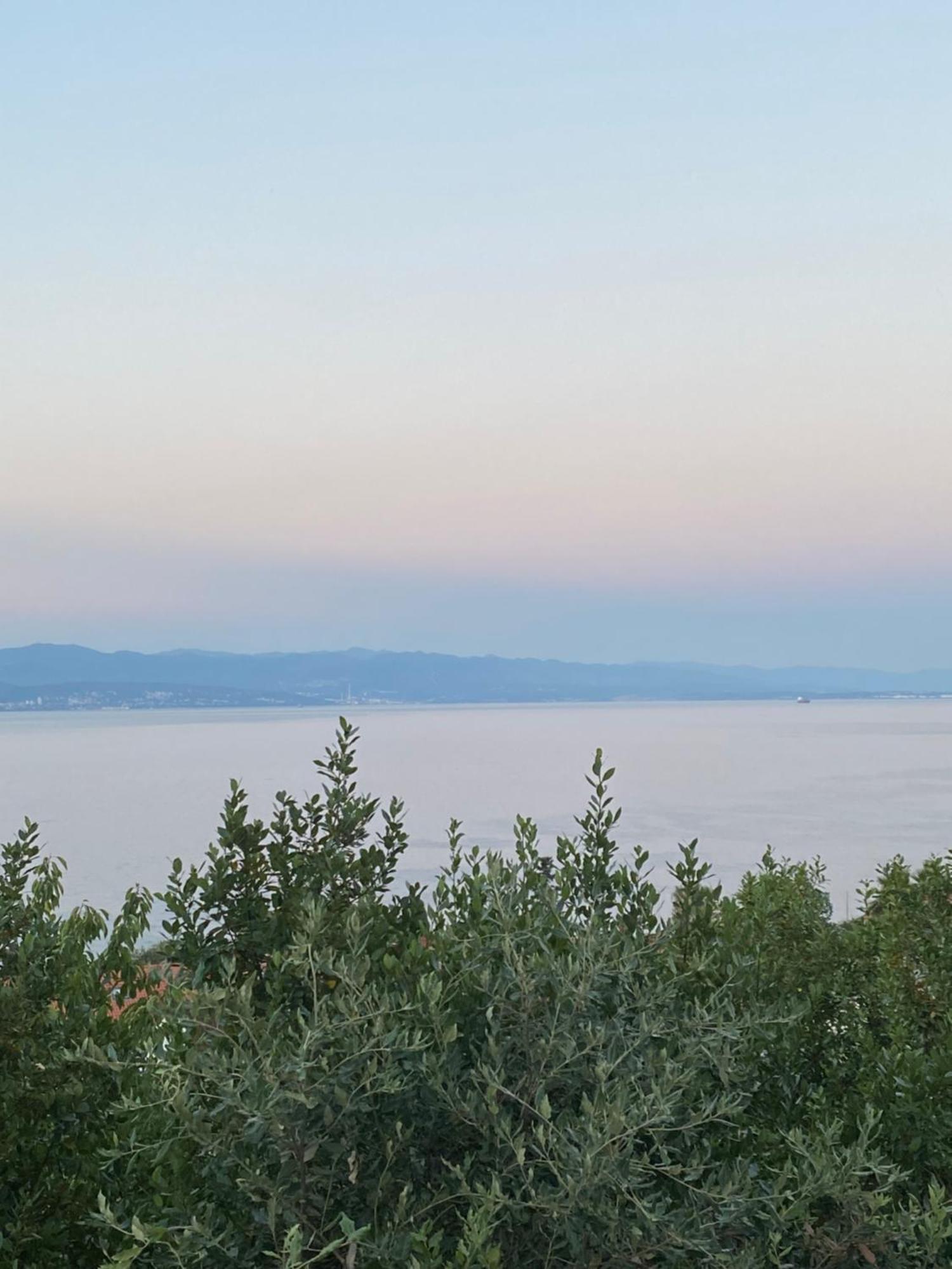 Villa Salyna Ičići المظهر الخارجي الصورة